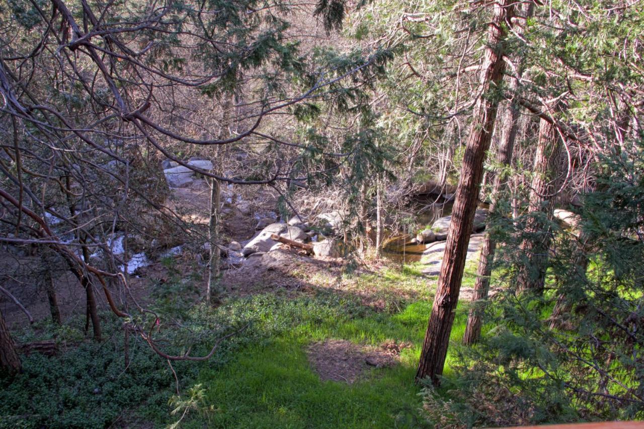 Villa Sierra Springs à Oakhurst Extérieur photo